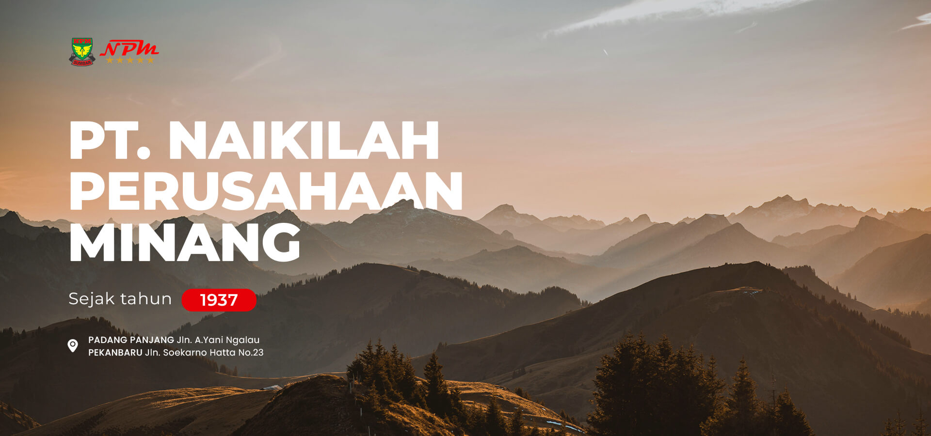 sejarah bus npm